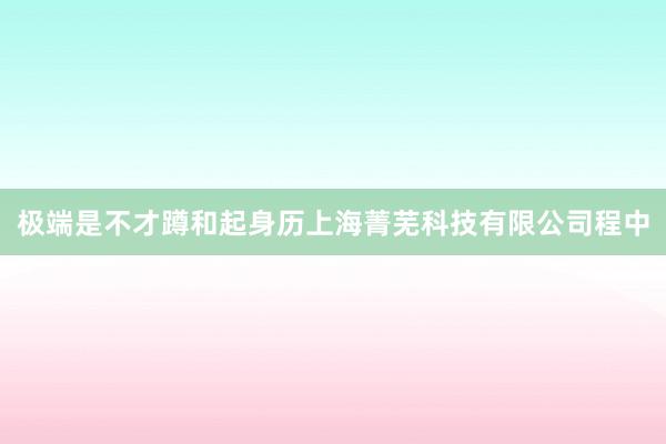 极端是不才蹲和起身历上海菁芜科技有限公司程中